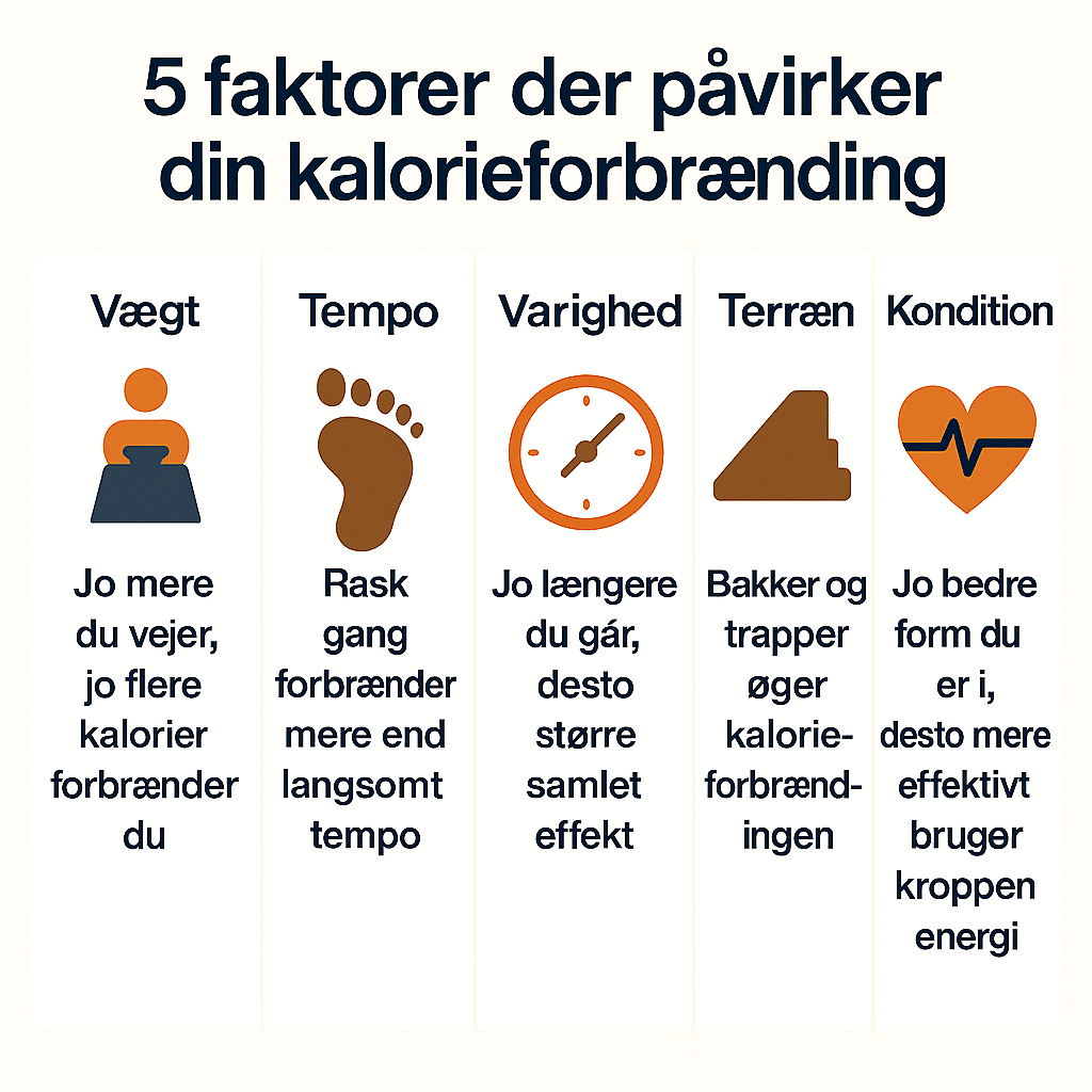 fem faktorer der påvirker din kalorieforbrænding