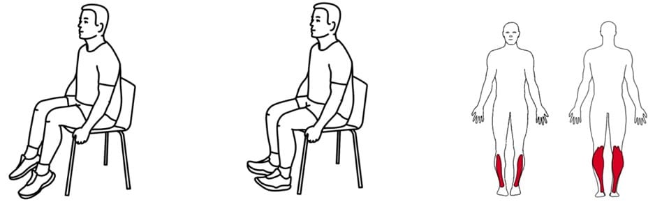 kontoroevelse ankelvip