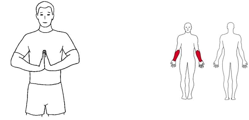 kontoroevelse straek af underarme