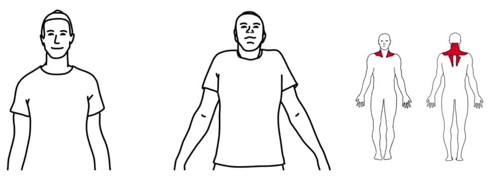 kontorøvelse 1 skulderløft